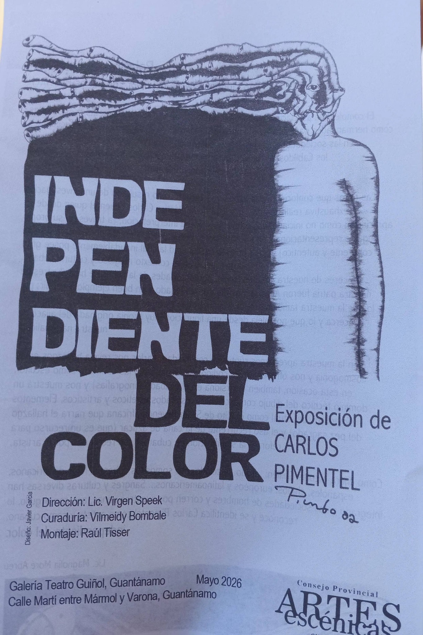muestra-independientes-de-color-de-carlos-pimentel